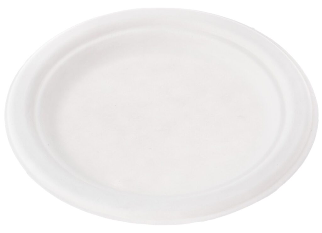 Sugarcane Plate Ø26 cm (BAP4), Pack of 50