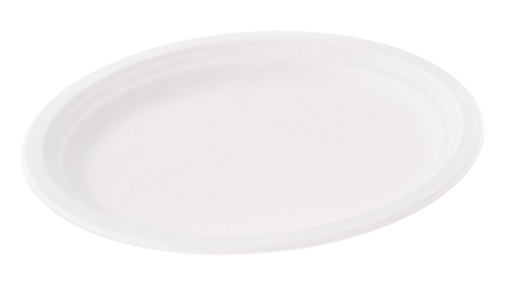 Sugarcane Plate 26×19×2 cm (BAP5), Pack of 50