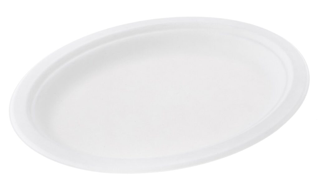Sugarcane Plate 32×25×2 cm, Pack of 50