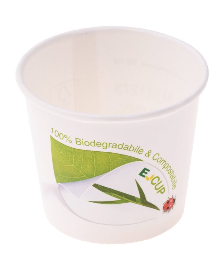 Paper Ice Cream Cup 239 ml, Pack of 160