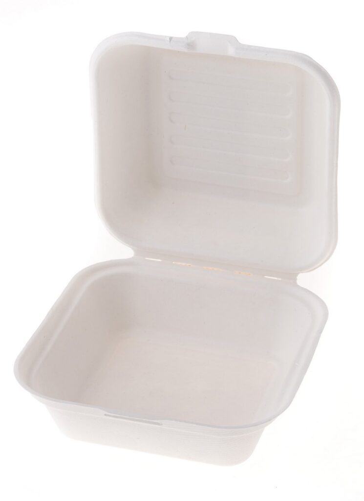 Sugarcane Meal Box 15×15×4/8 cm, Pack of 50