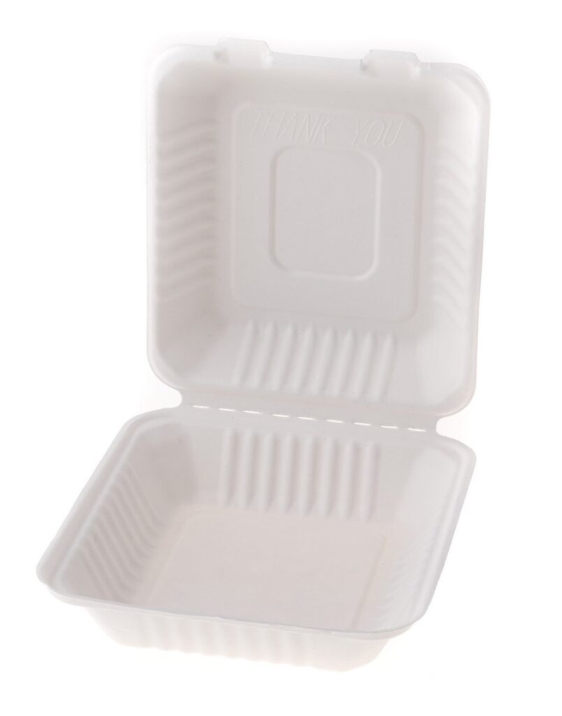 Sugarcane Meal Box 22×20×5/8 cm, Pack of 50