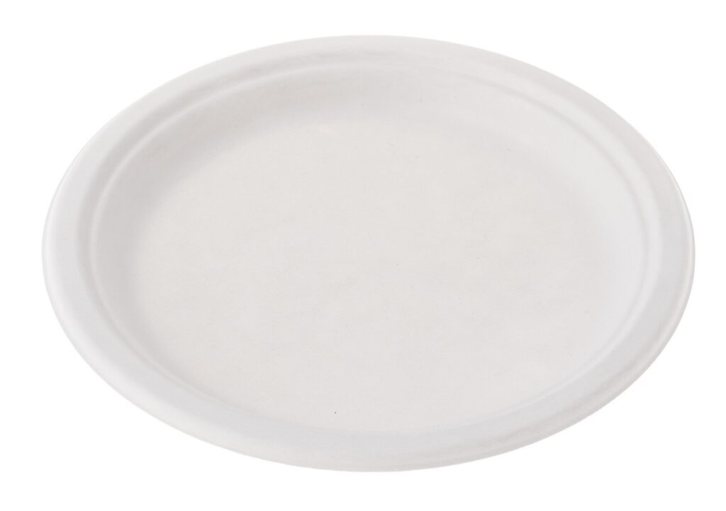 Sugarcane Plate Ø22.5 cm, Pack of 50