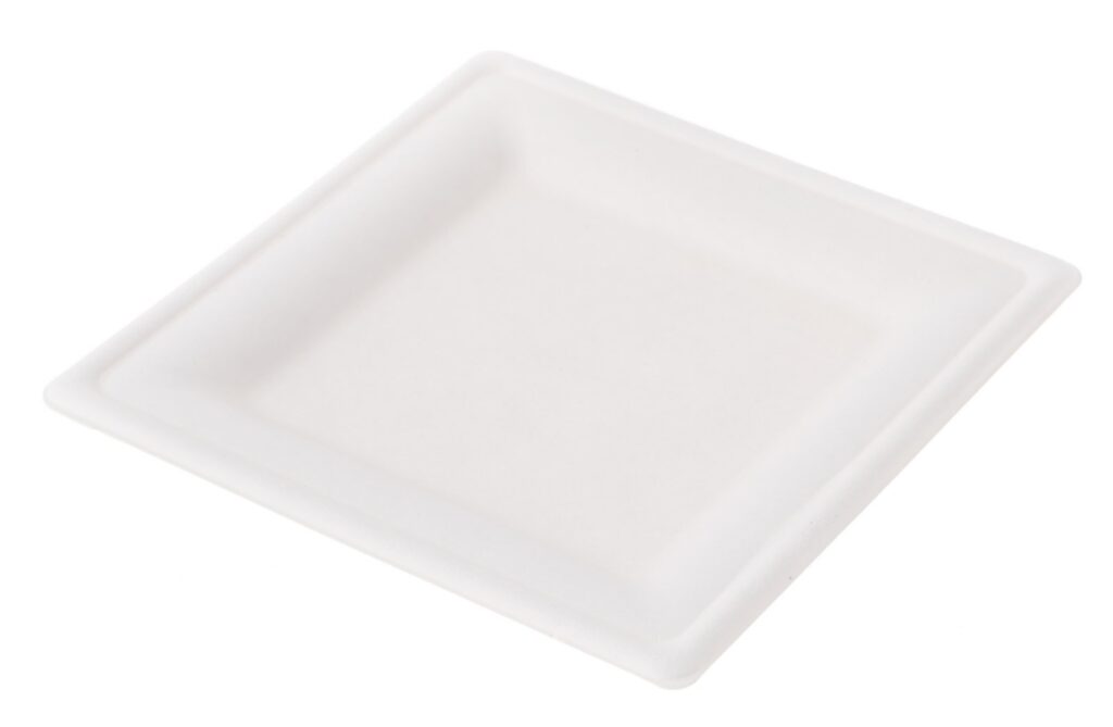 Sugarcane Plate 16×16×2 cm, Pack of 50