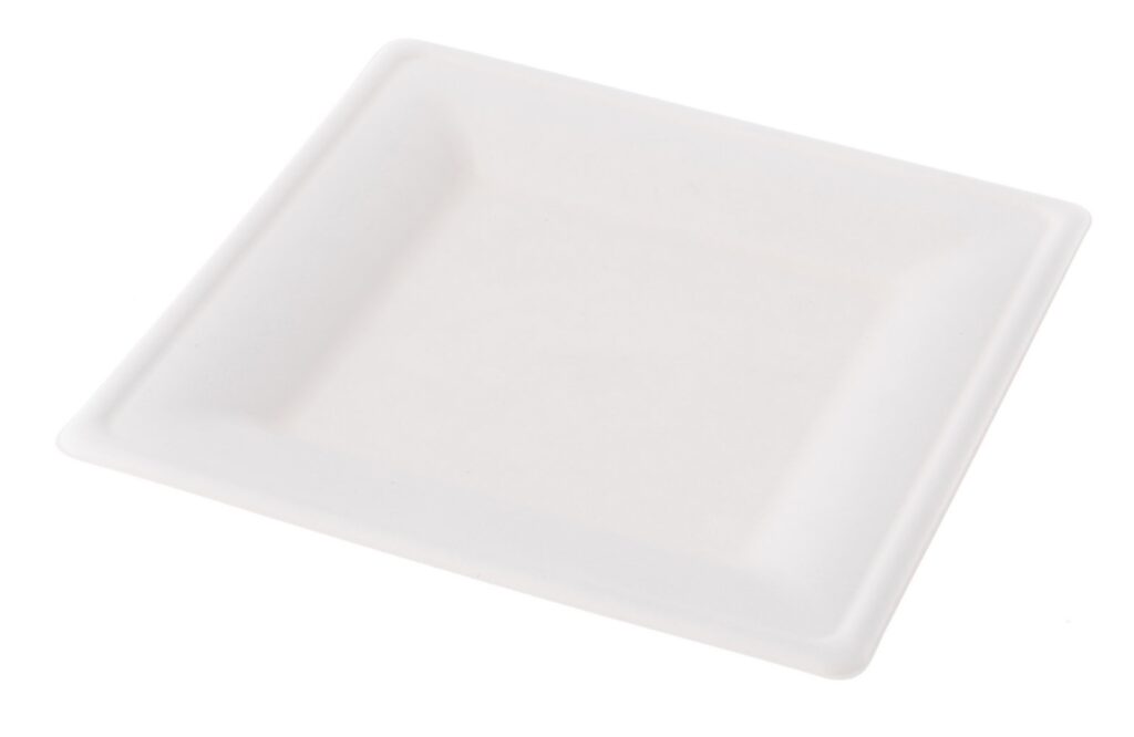 Sugarcane Plate 20×20×2 cm, Pack of 50