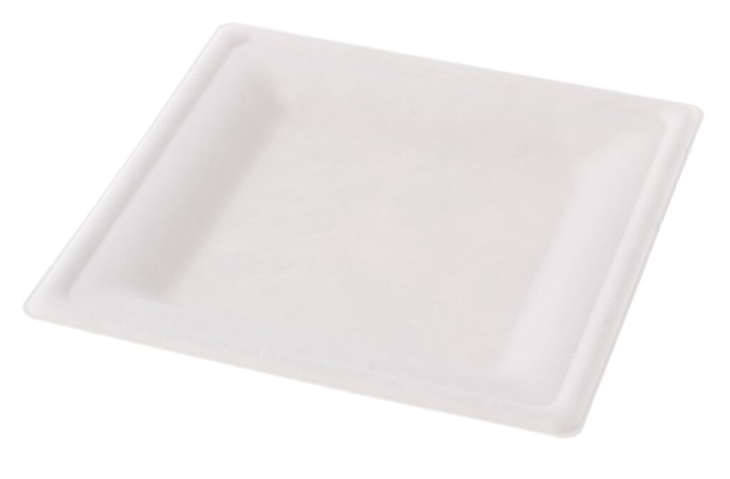 Sugarcane Plate 26×26×2 cm, Pack of 50
