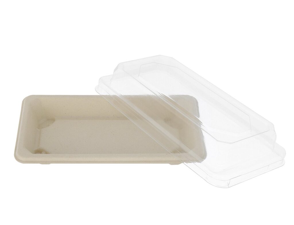 Sugarcane Sushi Container 16.4×8.9×2.1 cm, Pack of 50