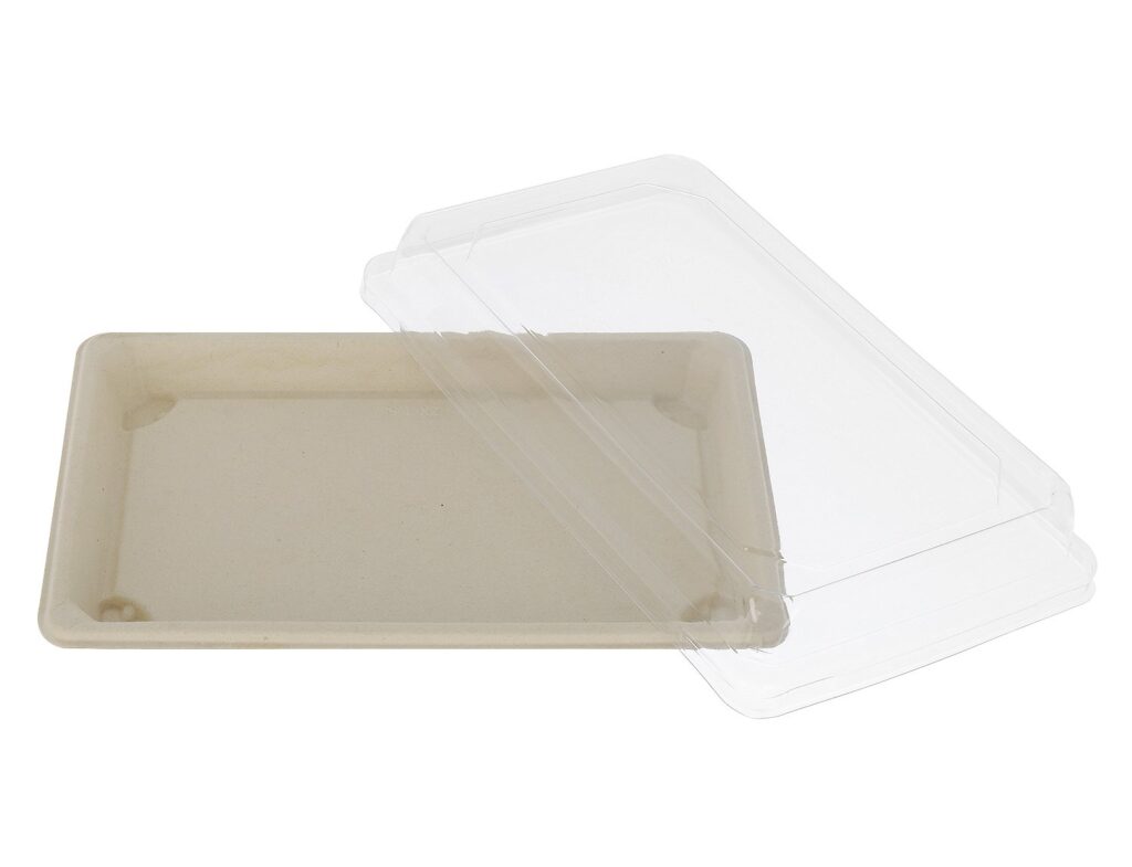 Sugarcane Sushi Container 16.5×11.5×2.1 cm, Pack of 50