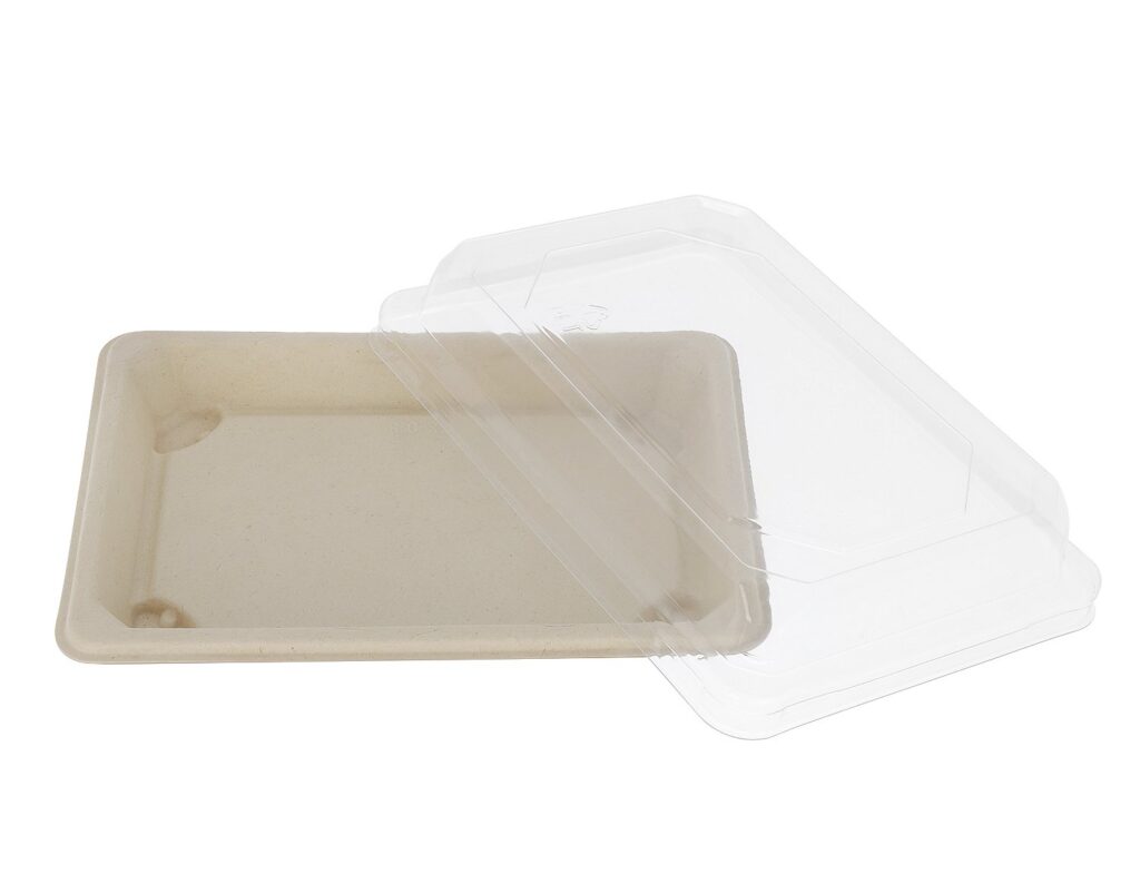 Sugarcane Sushi Container 18.5×12.8×2.1 cm, Pack of 50