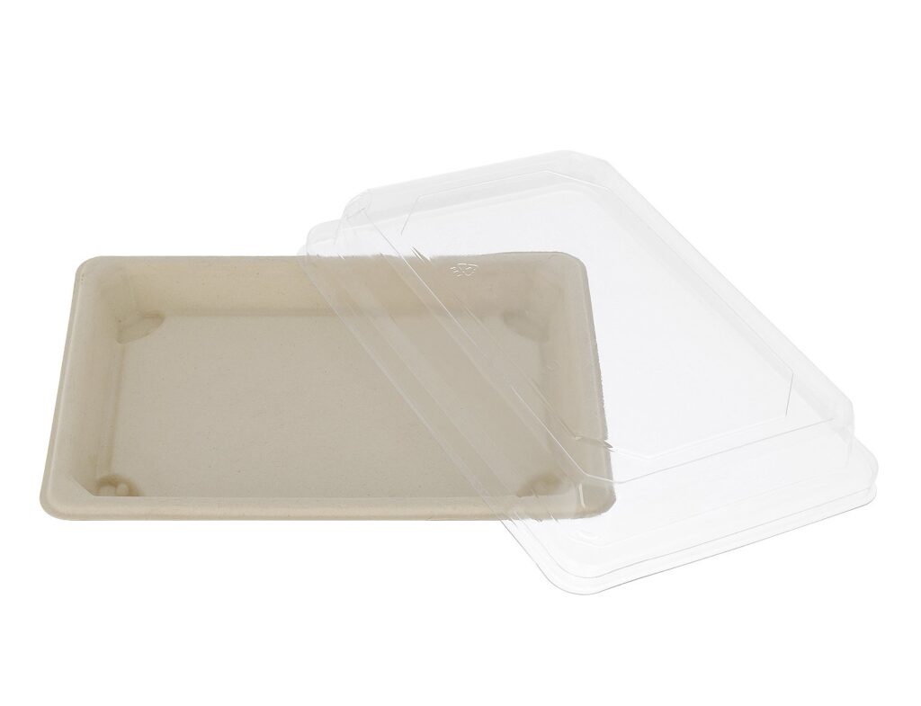 Sugarcane Sushi Container 21.6×13.6×2.0 cm, Pack of 50
