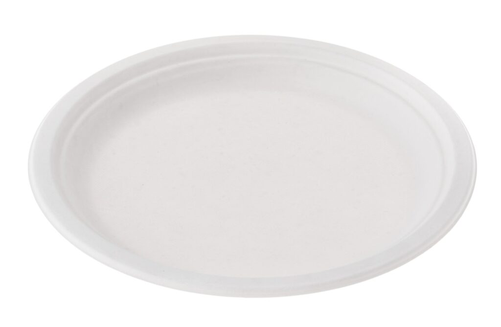 Sugarcane Plate 32×25×2.5 cm, Pack of 50
